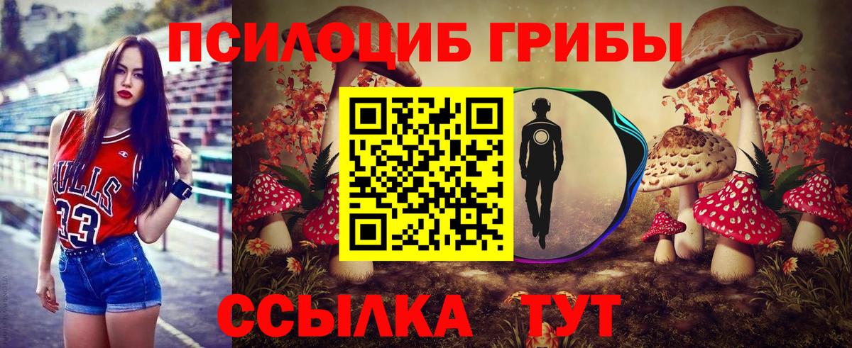 где купить   Псилоцибиновые грибы Psilocybe  Вход с VPN  Псилоцибиновые грибы Psilocybe  Донецк 