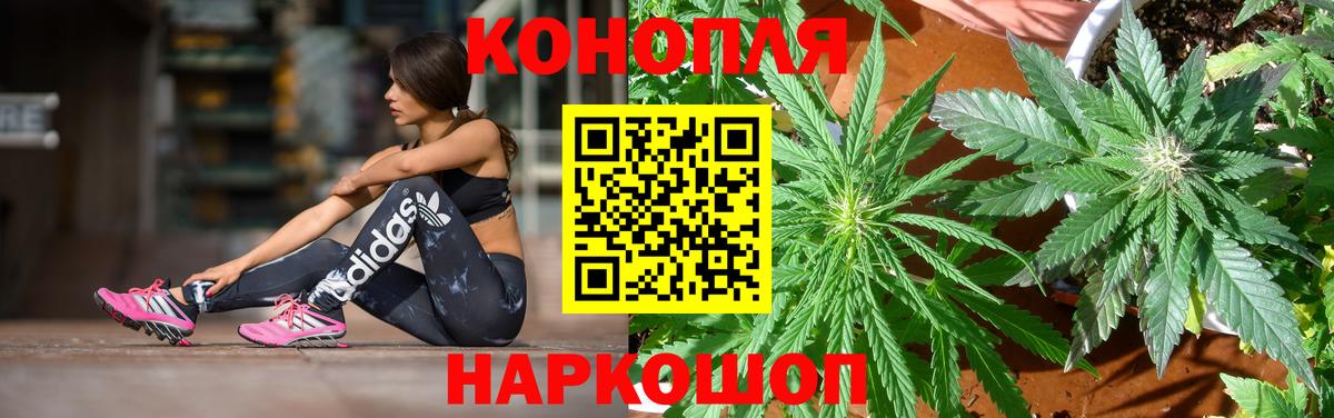 Каннабис Bruce Banner  Канабис LSD WEED  Вход с VPN  МАРИХУАНА LSD WEED  Донецк  Бошки марихуана план 
